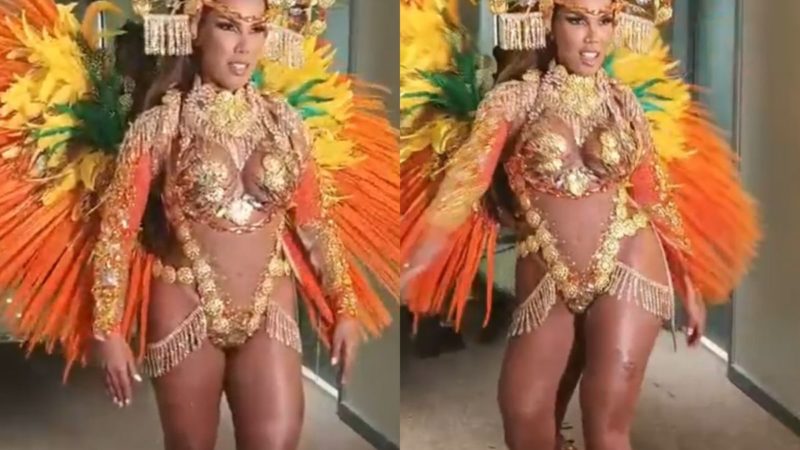 Nos Bastidores da Folia: Desentendimento Entre Musa e Integrantes Expõe Pressão nos Preparativos do Desfile