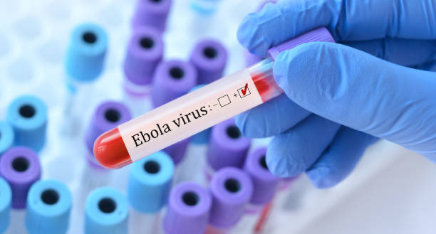 África Central Enfrenta Novo Surto de Ebola e OMS Declara Emergência Internacional